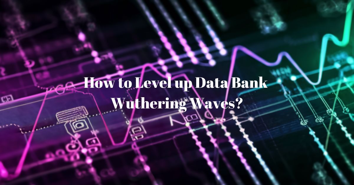 How to Level up Data Bank Wuthering Waves?