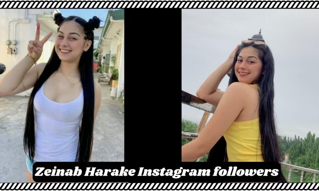 Zeinab Harake Instagram followers